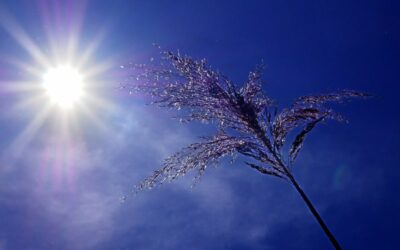 Achieving a step change in the health protection response to climate change