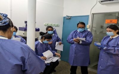 The importance of global surveillance to identify pandemic threats