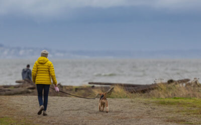 Get Winter Strong: why having a flu vaccination matters