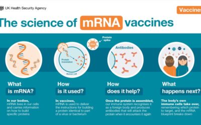 What are mRNA vaccines and how do they work?