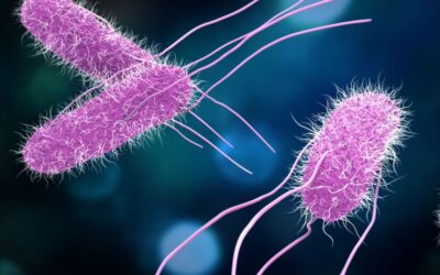 What is UKHSA doing about antibiotic resistance?